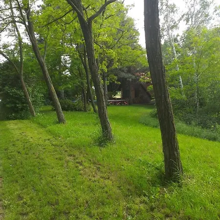 Case de vacanță Vikend Kuca Fruska Gora *