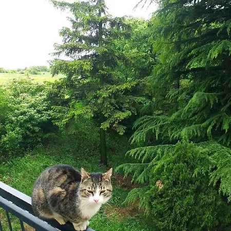 Vikend Kuca Fruska Gora