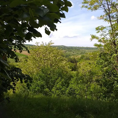 Vikend Kuca Fruska Gora Case de vacanță *